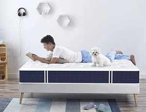 lot A-185 image: Coolvie Twin Mattress, 10 Inch Twin Size Hybrid Mattress
