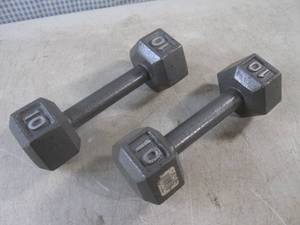 lot 228 image: (EC1) Set of 2 Steel 10 Lb Hex Dumb...
