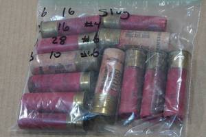 lot 236 image: 12 Assorted Shotshells - 16 Ga Slugs, 16 Ga #4, 28 Ga #6, 10 Ga #6