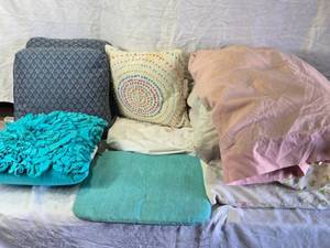 lot 186 image: Assorted Decorative Throw Pillows and Other Used Pillows