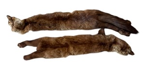 lot 102 image: Fur Pelts