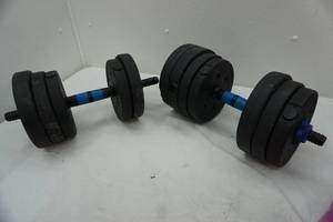 lot 55 image: poly weights