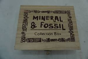 lot 194 image: Mineral & Fossil Collection Box full of spent shotgun shells