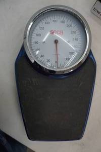 lot 197 image: Seca scale.