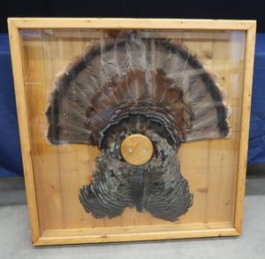 lot A1 image: VIRGINIA TURKEY FAN PLAQUE