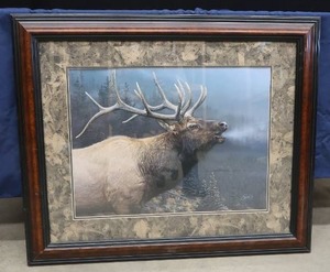 lot A11 image: ELK BULL FRAMED ART