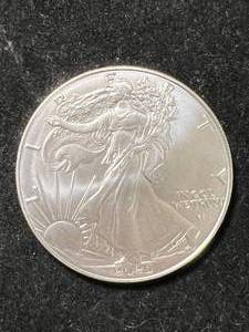 2025 AMERICAN SILVER EAGLE 1 TROY OZ .999 FINE SILVER