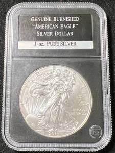 2013 AMERICAN SILVER EAGLE SLABBED