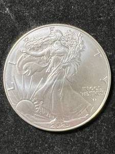 2025 AMERICAN SILVER EAGLE 1 TROY OZ .999 FINE SILVER