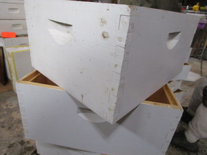 Two Hive Body  Brood Boxes