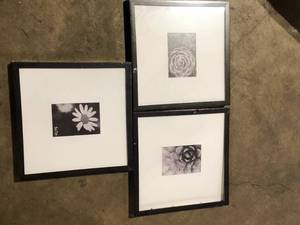 lot 35 image: StyleWell Espresso Modern Frame with White Matte Gallery Wall Picture Frames   Customer Returns See Pictures