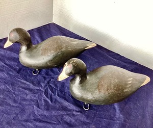 lot 143 image: Pair of Vintage Coot Decoys