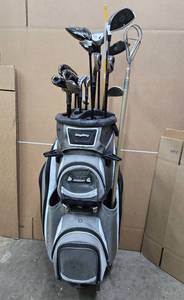 lot 382 image: Very Nice Set of TAYLOR MADE Mens RH Golf Clubs wBag