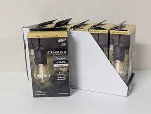 lot 43 image: Feit Electric LED Replacement String Light Bulbs, 24-pack