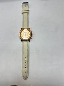 New Geneva Platinum Quartz Watch (blue)