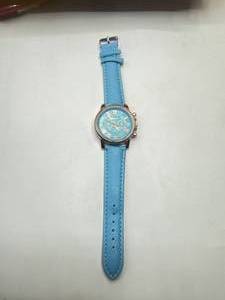 New Geneva Platinum Quartz Watch (green)