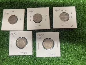 5 Buffalo Nickels
