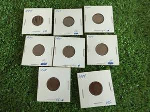 8 Indian Head Cents