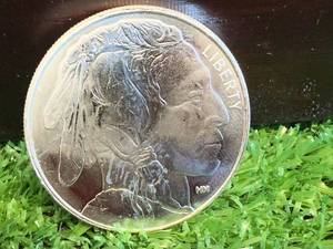 1 oz .999 Silver Buffalo Round