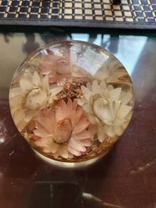 lot 280 image: Floral Resin Paperweight with Coin