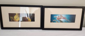lot 48 image: Framed Underwater Art Prints Pair