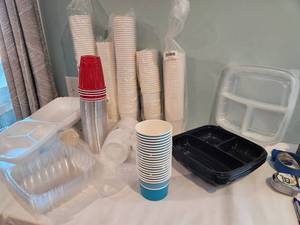 lot 126 image: Bulk Disposable Tableware Assortment