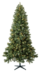 lot 634 image: Evergreen Classics 7.5ft Pre-Lit Benton Pine Artificial Christmas Tree, Color-Changing LED Lights