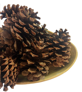 lot 734 image: LOT OF 7 Holiday Time Cinnamon Fragranced Brown Pinecones