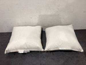 lot 605 image: LOT OF 2 Patio Pillows