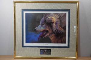 Bryan Moon Framed Print The Polar Run