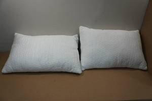 2 Bamboo Shredded Memory Foam Pillows