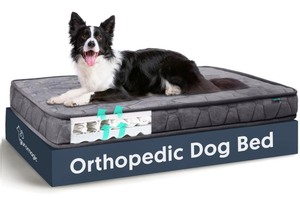 Orthopedic Dog Bed  -Gray