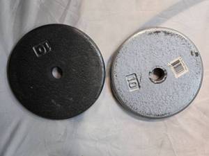 lot 19 image: Lot of a Pair of One Inch 10LB Weight Plates ( USED)