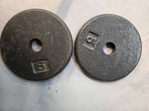 lot 21 image: Lot of a Pair of 5LB One-Inch Weight Plates (Used, Like New)
