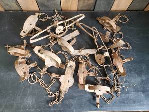 lot 99 image: Lot of Various Animal Traps  Victor and others