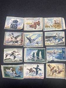 Collection of Twelve $3 Migratory Bird Hunting Stamps