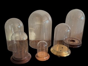 lot 118 image: Variety of Glass Cloches