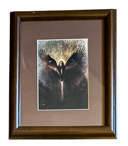 lot 475 image: Shamans Vision  The East Print by Keith Powell