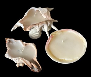 lot 610 image: Hand Crafted Shell Candles