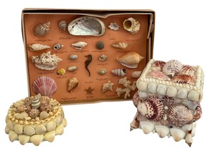 lot 453 image: Shell Specimen Display and Two Handcrafted Shell Trinket Boxes  Dresser Boxes