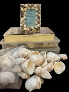 lot 335 image: Assorted Seashells and Seashell Motif Picture Frame