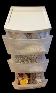 lot 548 image: Collection of Seashells for Crafting and Plastic Storage Container