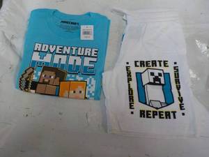 lot 30 image: Minecraft T-shirt and Shorts Set si...
