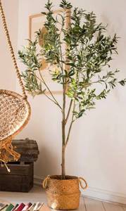 lot 37 image: Artificial Olive Tree in Basket Planter