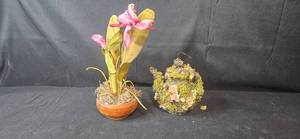 lot 362 image: Decorative Moss Teapot and Silk Orchid Arrangement