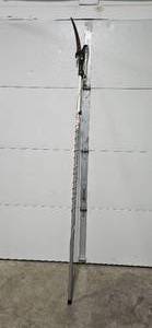 lot 492 image: Telescopic Pole Saw for Tree Trimming
