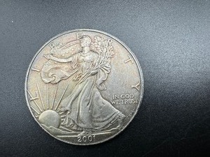 2001 Beautiful Toned 1oz Silver Eagle, Truly Stunning, Better Year