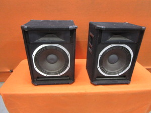 lot 22 image: (2) Peavey SP5XT Speakers