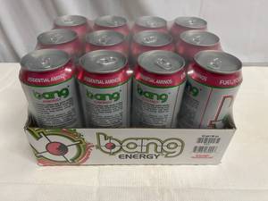 SSS. 12x 16oz Bang Energy-Wyldin Watermelon