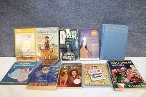 lot 235 image: Collection of 10 Classic and Modern Books